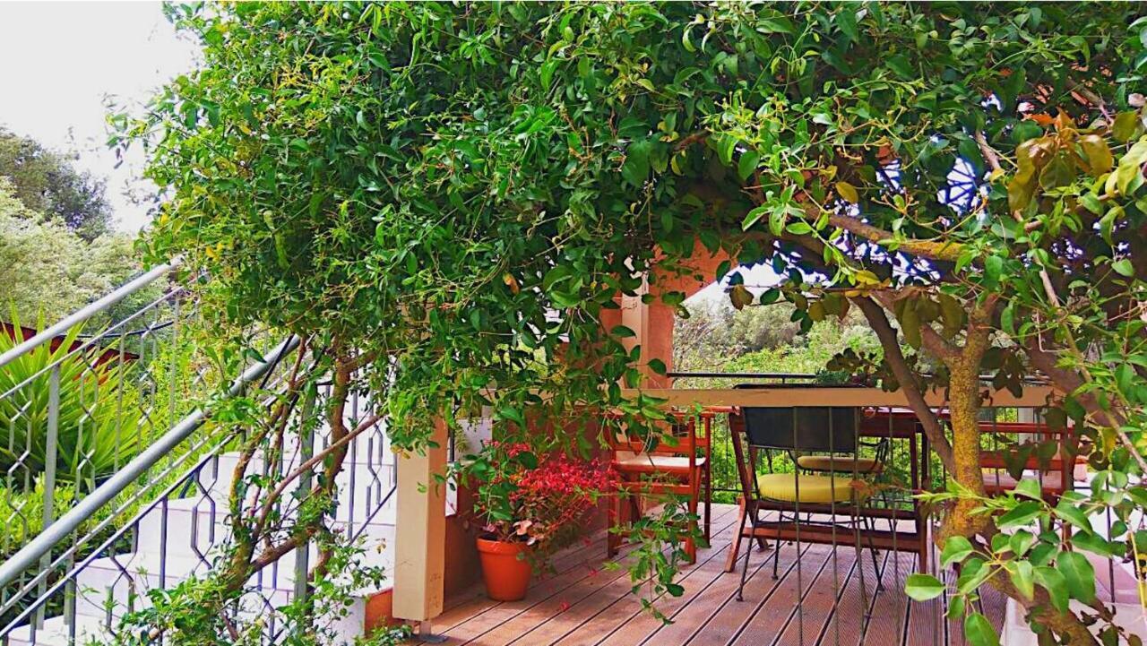 Kefalonia apartments - 2 bedroom apartment in orchard, cute veranda, ground floor Spartià Buitenkant foto