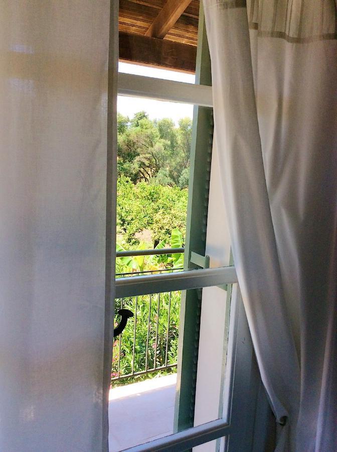 Kefalonia apartments - 2 bedroom apartment in orchard, cute veranda, ground floor Spartià Buitenkant foto